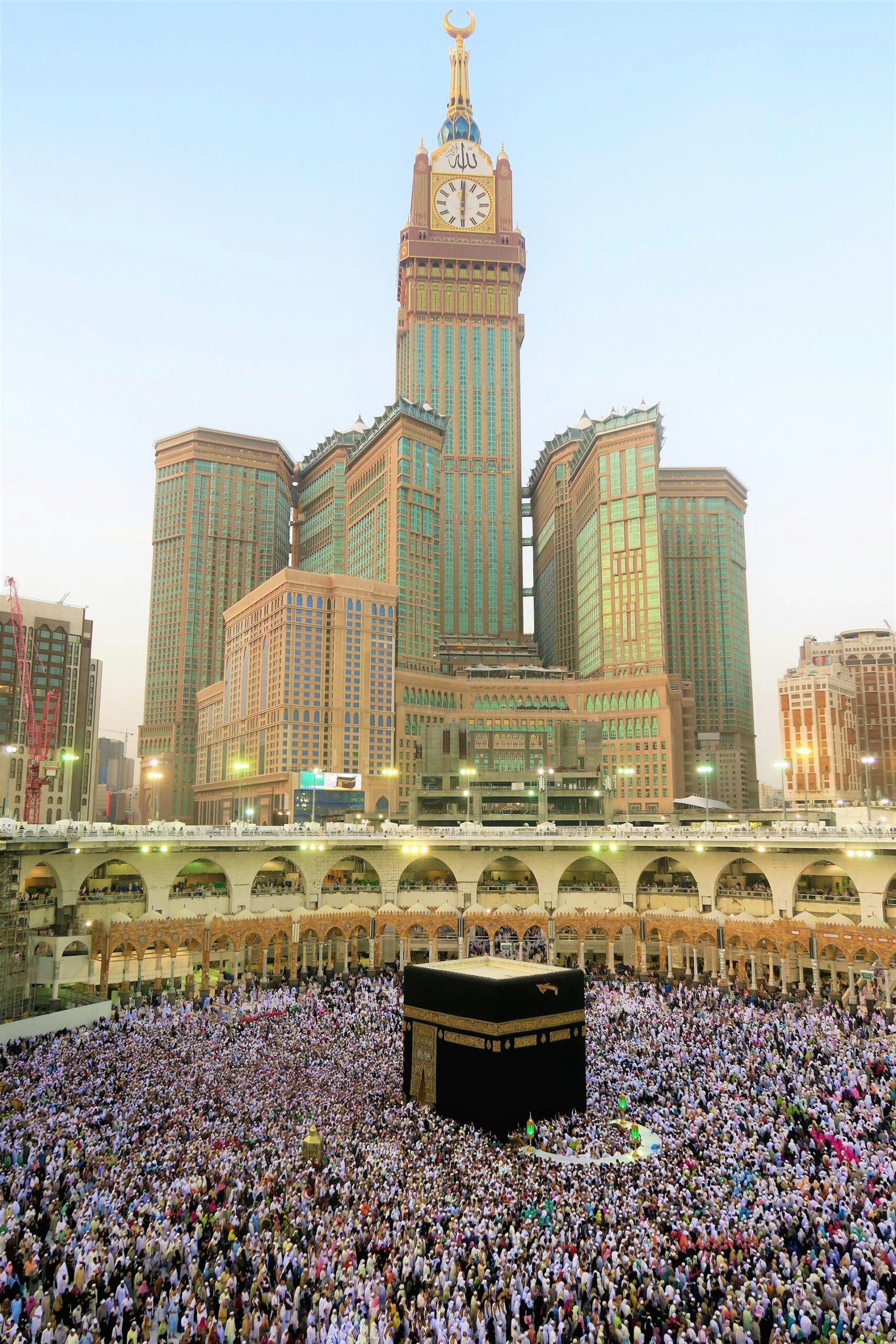 Requirements for Chicken Export to Saudi Arabia