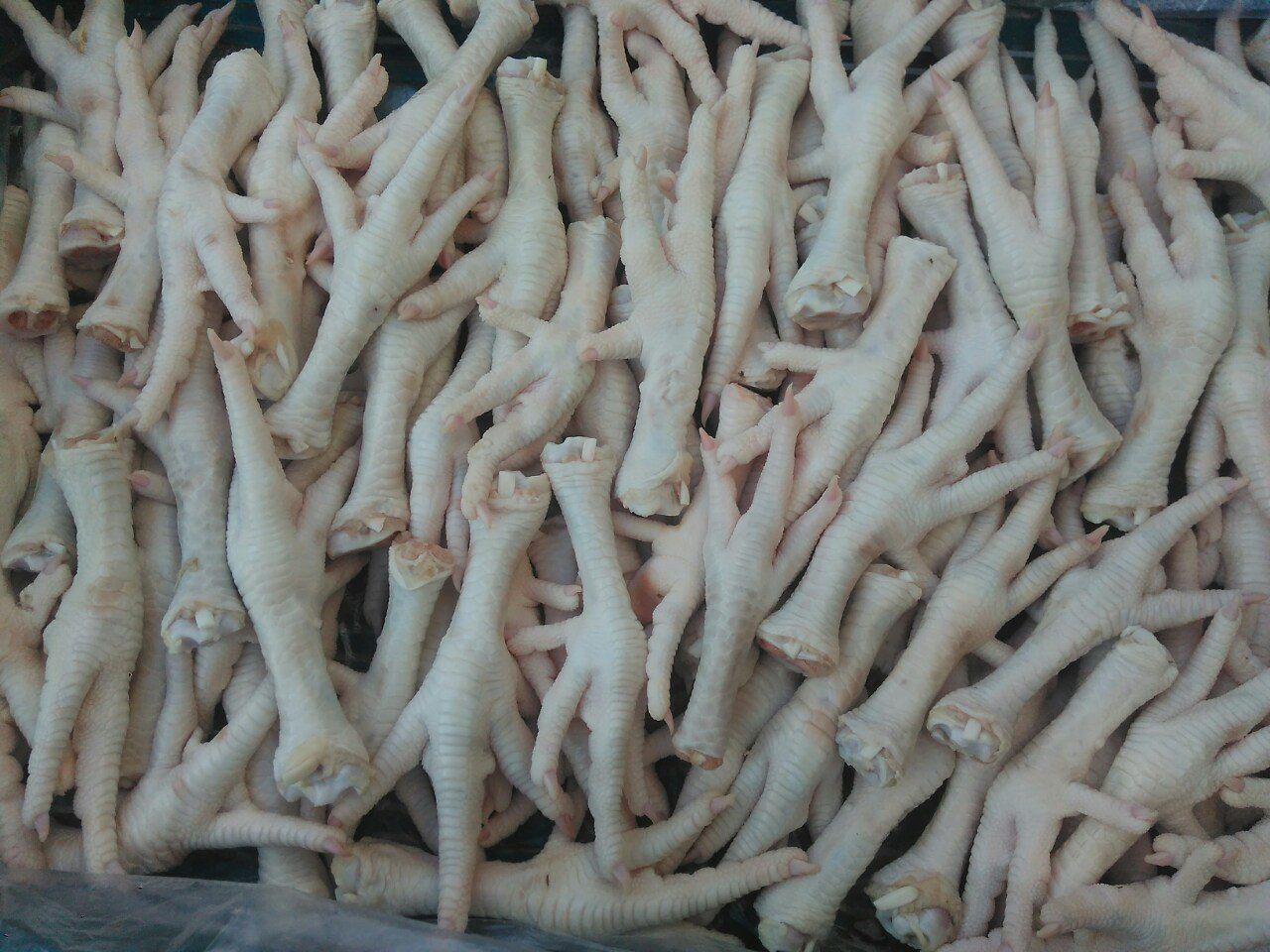 Frozen chicken feet supplier
