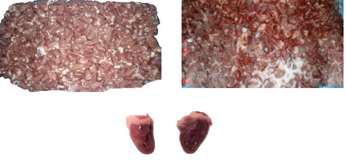 Chicken Hearts Supplier