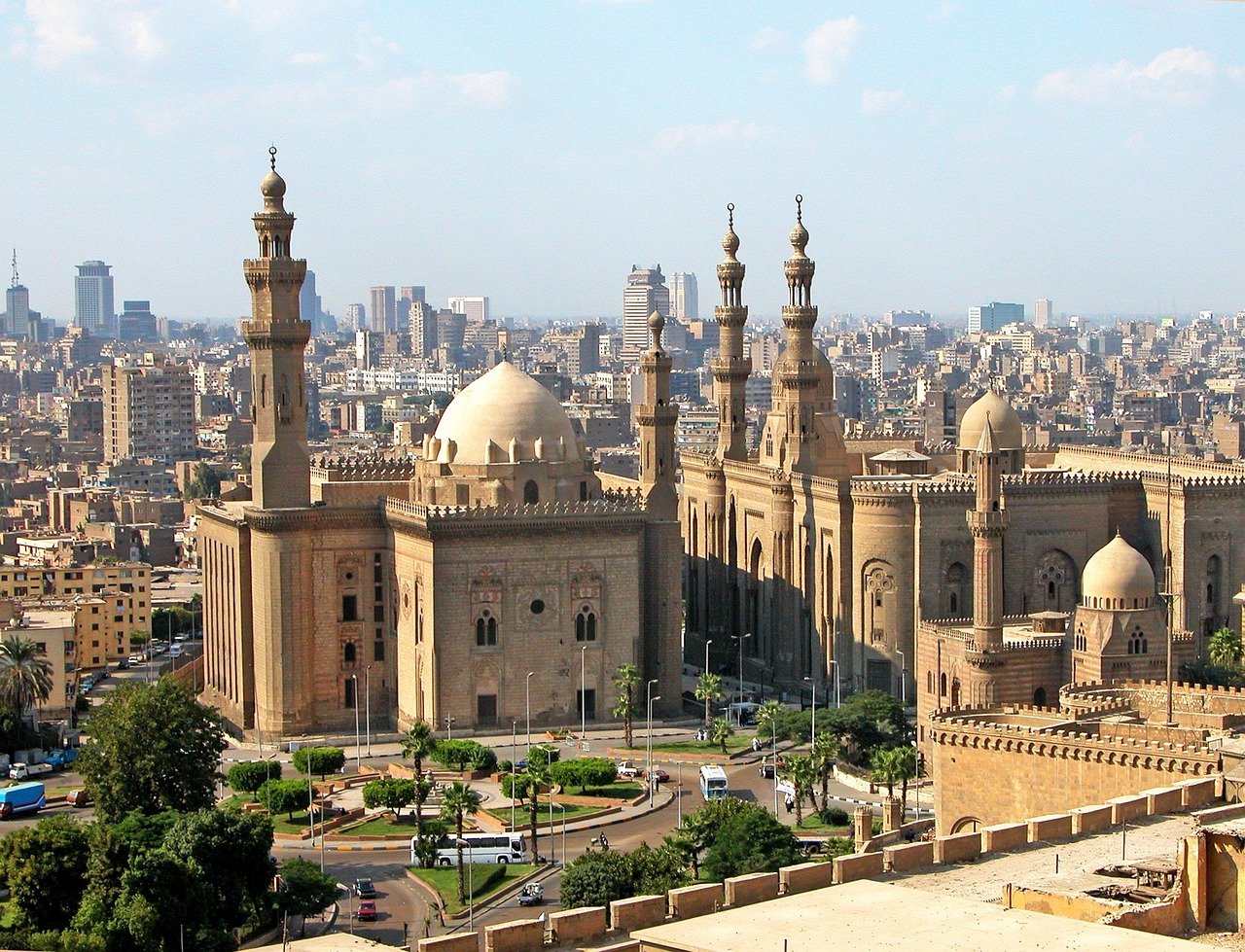 Frozen chicken export from Ukraine to Egypt