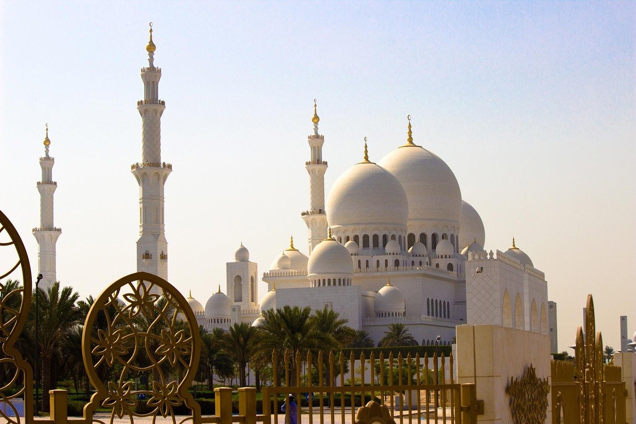 Frozen chicken supplier for Middle East markets