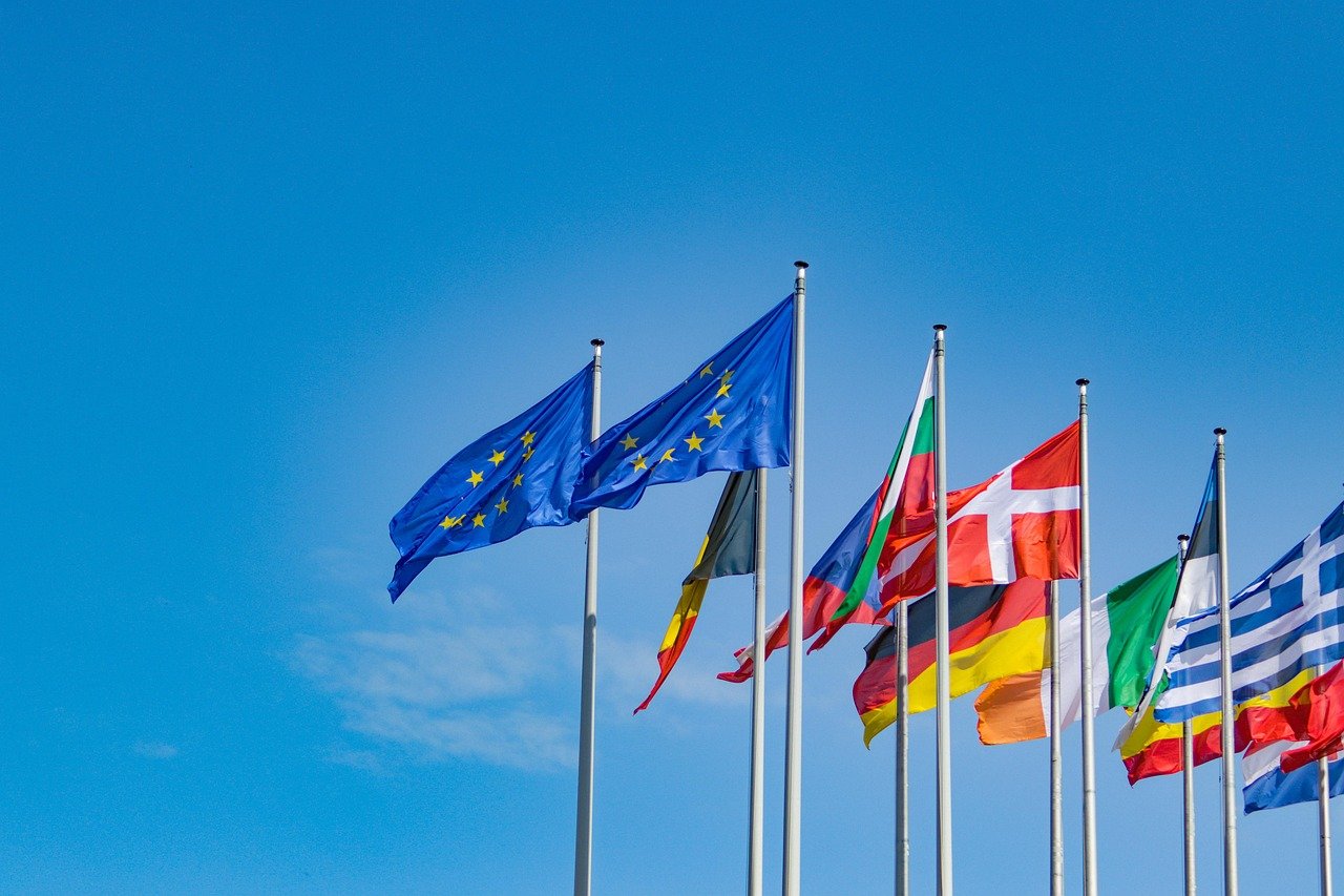 How to Import Chicken to Europe