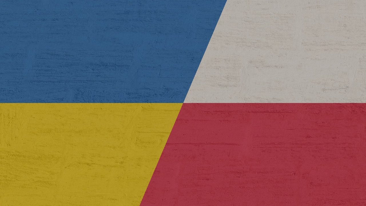 Ukraine vs Poland Chicken Suppliers