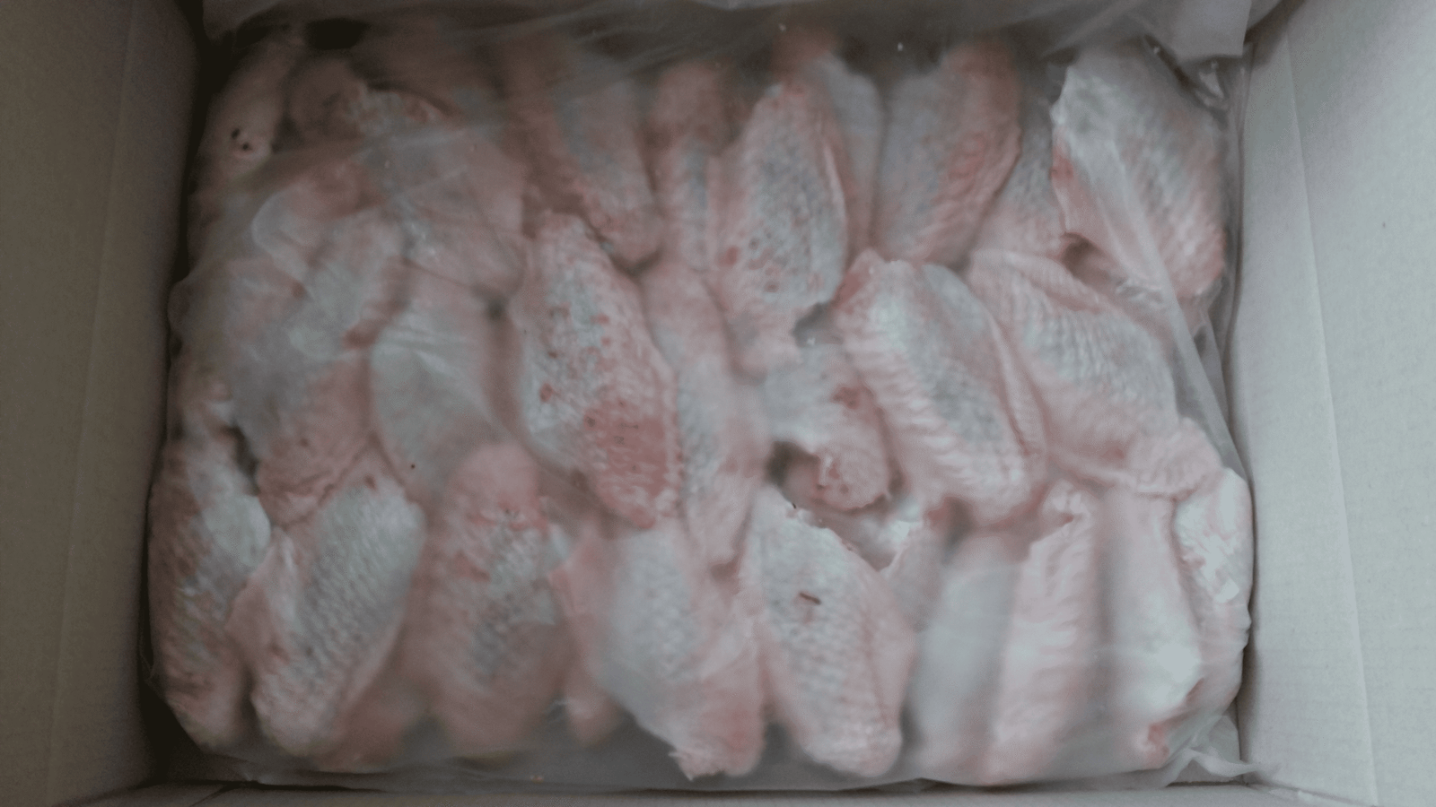 Turkey Mid-Joint Wings For Export