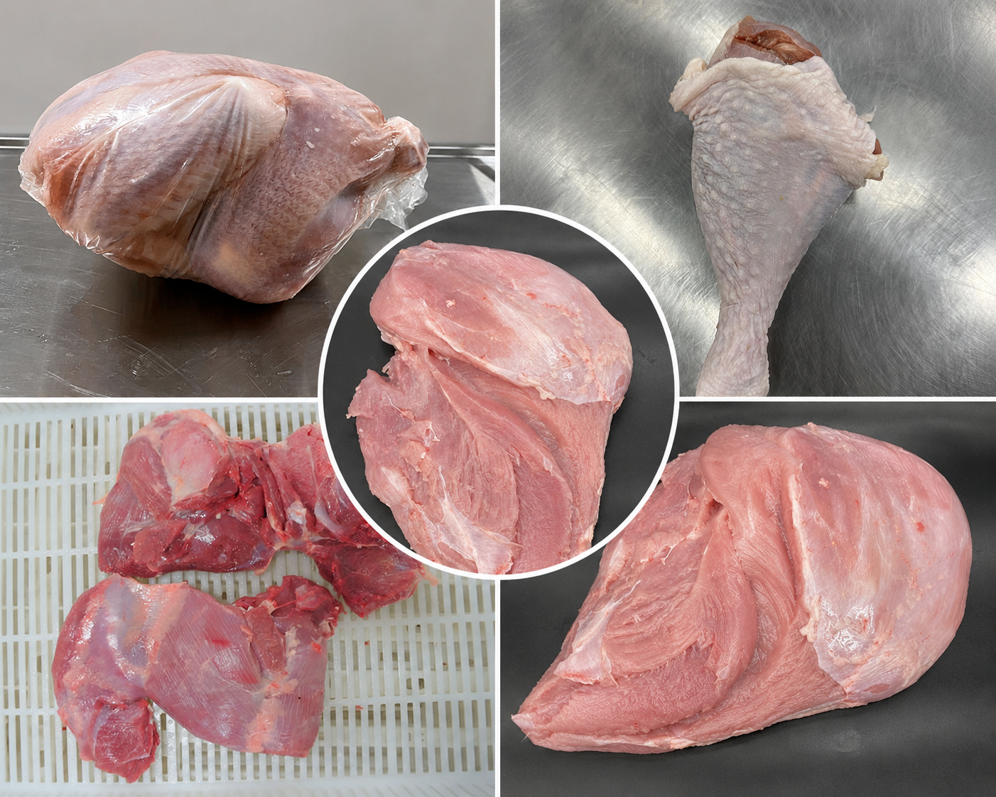 Whole Frozen Turkey vs Turkey Parts