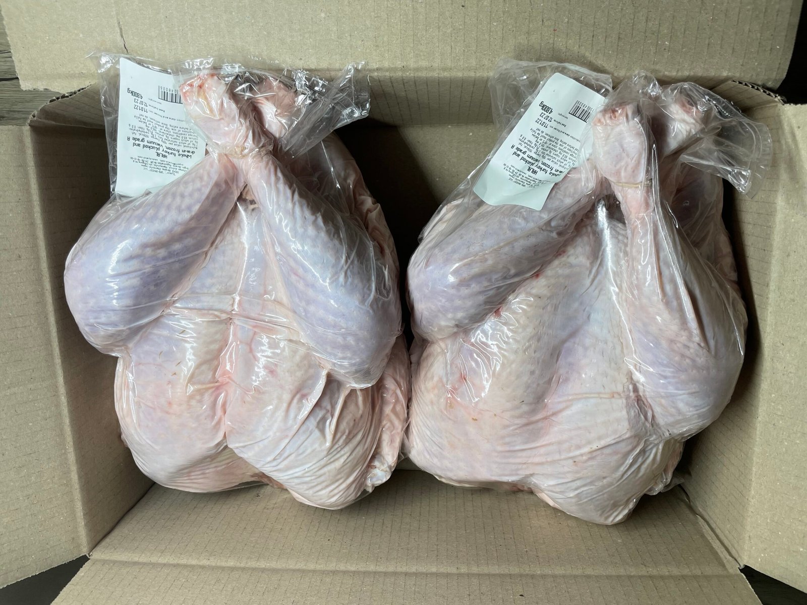 Whole Turkey for Export